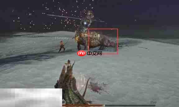 艾尔登法环黑夜君临暗中飞驰的猎人是谁 黑夜王弗格尔怎么打