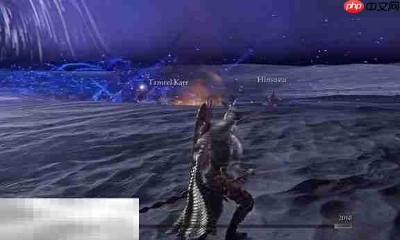 艾尔登法环黑夜降临最终boss战 怎么才能击败黑夜王布德奇冥