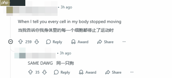 《上古卷轴6》粉丝怒斥TGA吊胃口！背景这么像不是故意的？