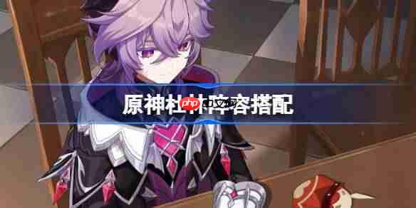 原神杜林阵容搭配-原神杜林怎么配队