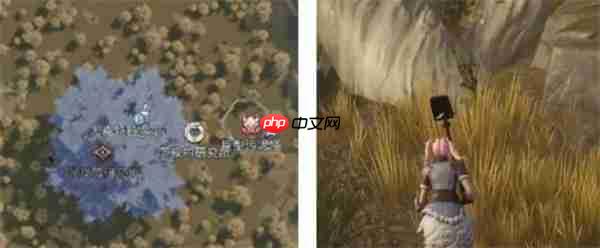 荒原曙光瘴气沼泽隐藏宝箱全收集汇总