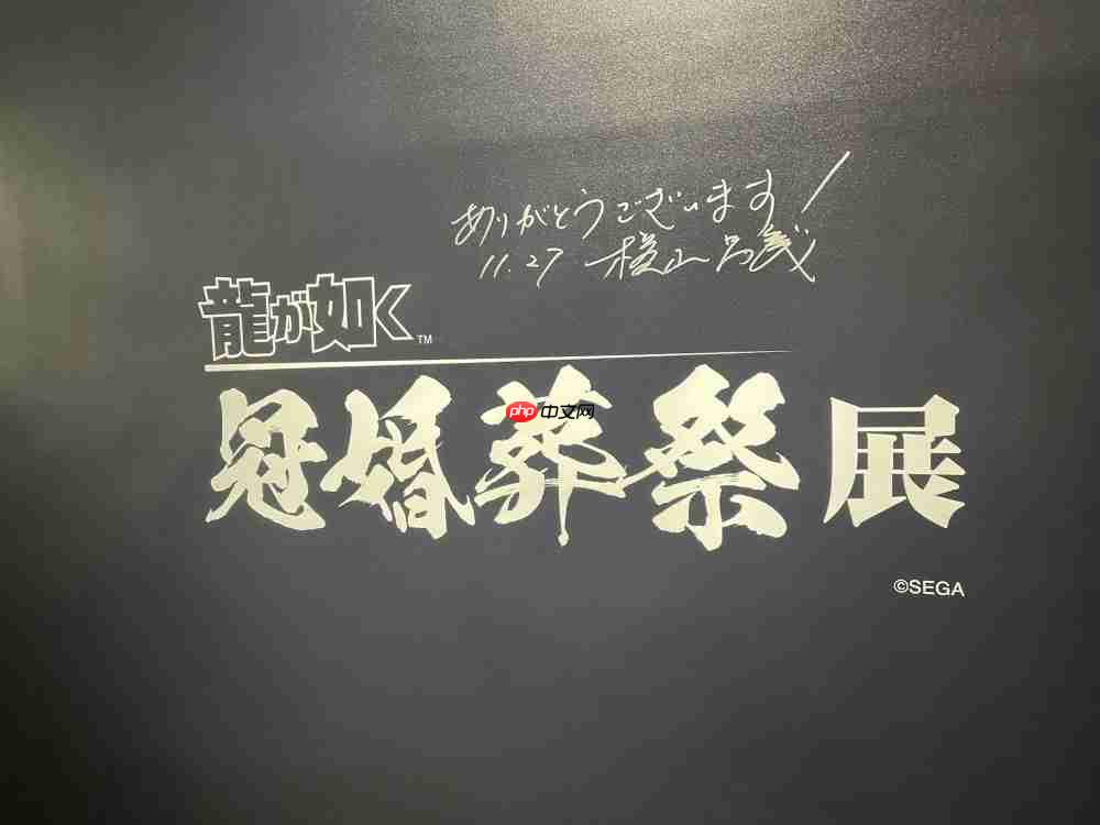 如龙工作室横山代表访谈：《极3/3外传》包含系列未来的惊人线索