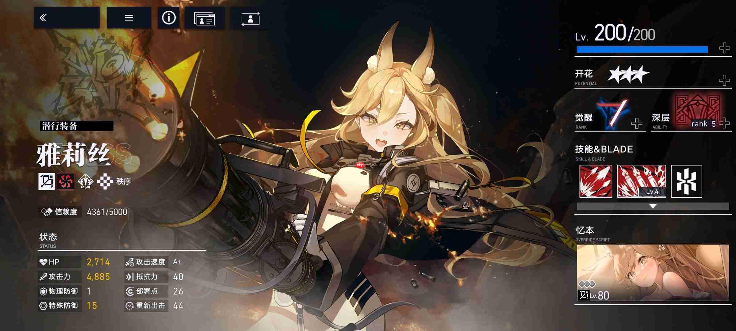 溯回青空新版本入手指南