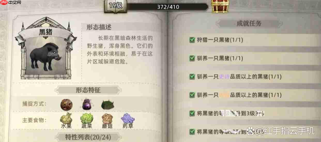 荒原曙光五大实用宠物推荐